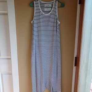 Frank & Eileen Women's Striped Dress - Blue and White Beach Size M